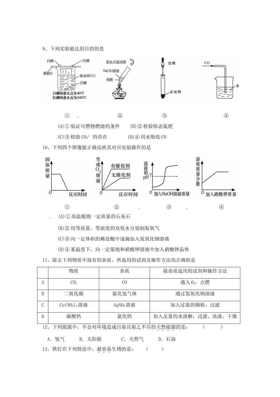 九年级化学下学期培优作业10 新人教版试卷_第2页