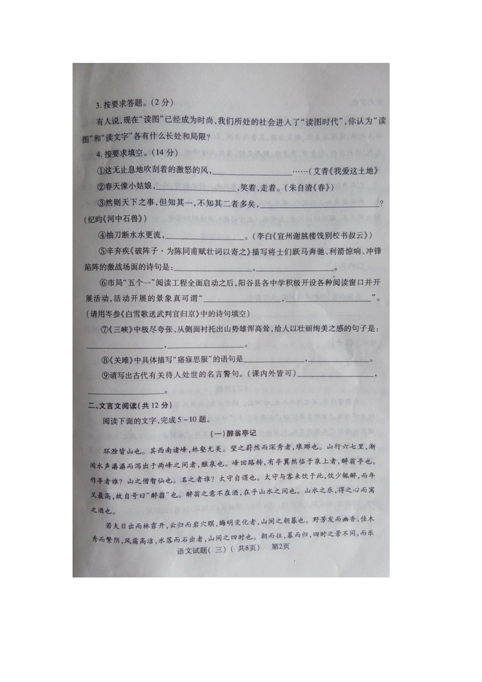 山东省聊城市阳谷县九年级语文下学期第三次模拟试卷试卷_第2页
