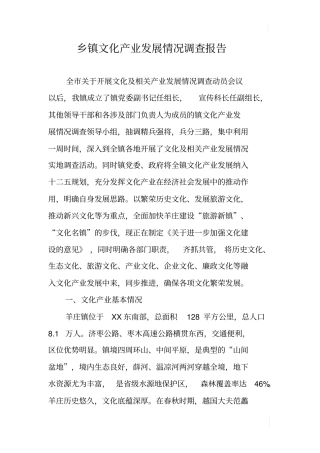 乡镇文化产业发展情况调查报告