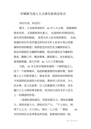 乡镇新当选人大主席任前表态发言