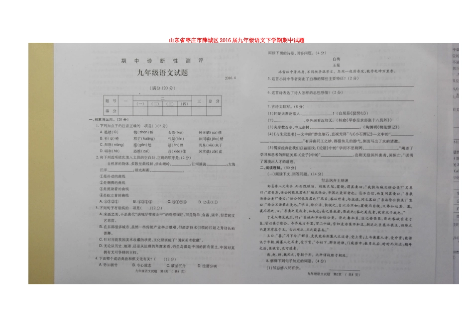 山东省枣庄市薛城区九年级语文下学期期中试卷新人教版试卷_第1页