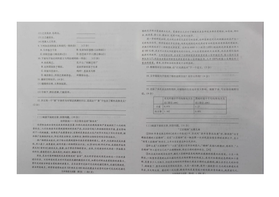 山东省枣庄市薛城区九年级语文下学期期中试卷新人教版试卷_第2页