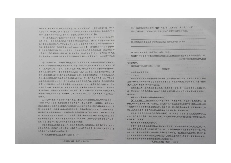山东省枣庄市薛城区九年级语文下学期期中试卷新人教版试卷_第3页