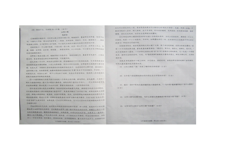 山东省枣庄市山亭区七年级语文4月月考试卷新人教版试卷_第3页