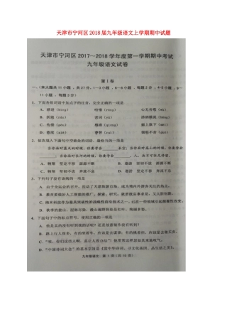 天津市宁河区届九年级语文上学期期中试卷 新人教版试卷