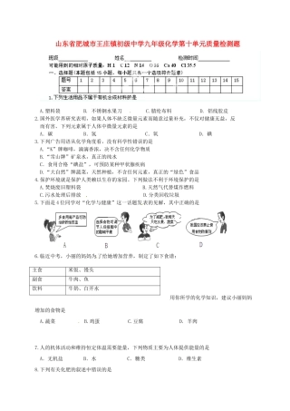 九年级化学 第十单元质量检测题试卷