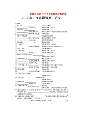 安徽省中考语文押题猜想试卷