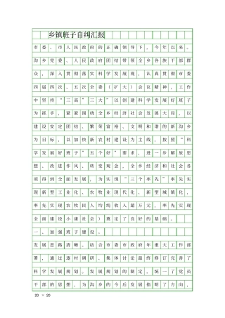 乡镇班子自纠汇报精品工作报告
