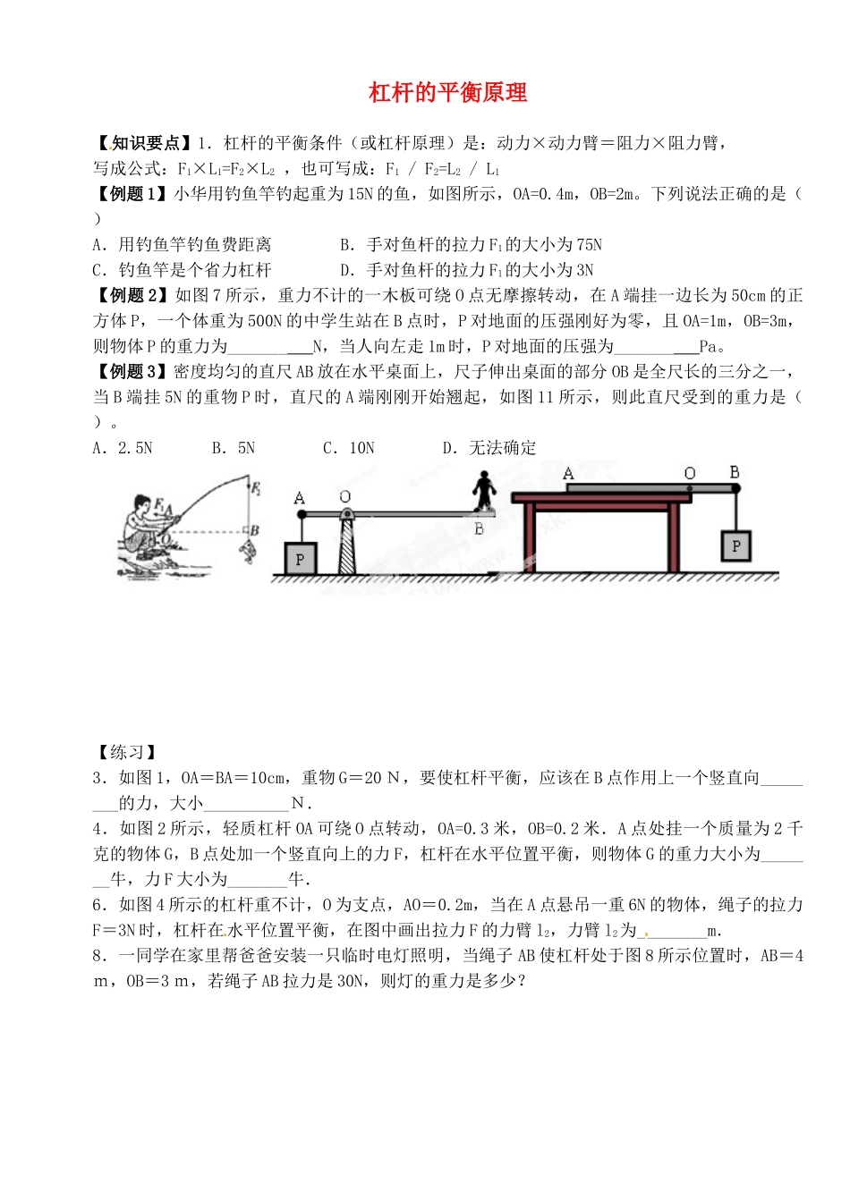 中考物理总复习 杠杆的平衡原理试卷_第1页
