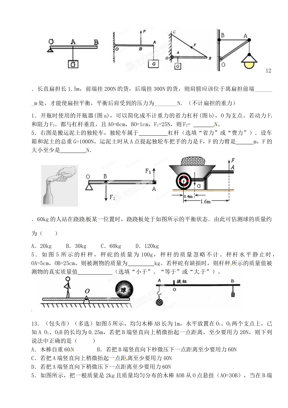 中考物理总复习 杠杆的平衡原理试卷_第2页