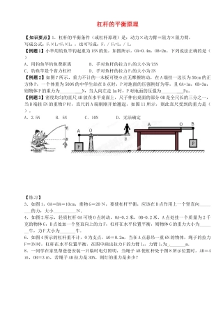 中考物理总复习 杠杆的平衡原理试卷