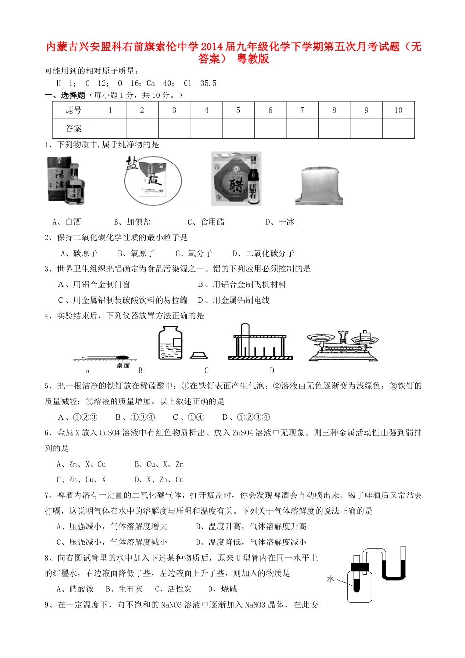 九年级化学下学期第五次月考试卷 粤教版试卷_第1页