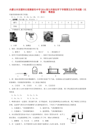 九年级化学下学期第五次月考试卷 粤教版试卷