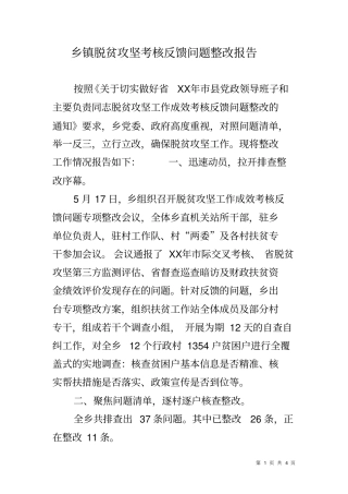 乡镇脱贫攻坚考核反馈问题整改报告