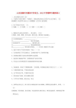 中考语文精粹专题热练4试卷