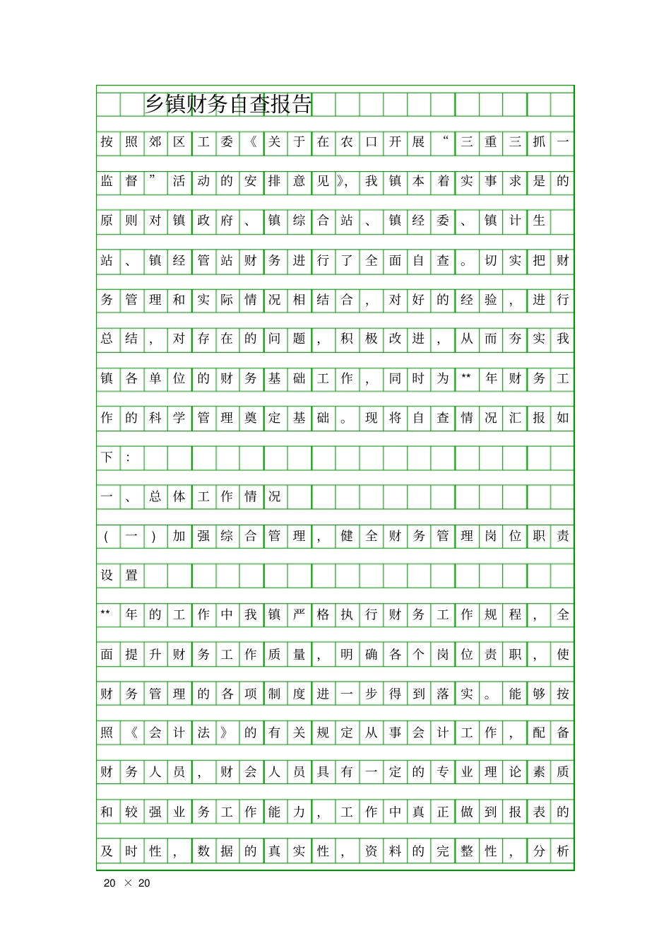 乡镇财务自查报告精品工作报告_第1页