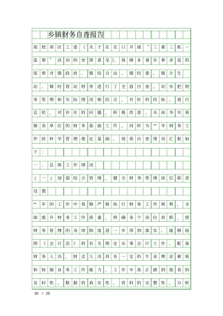乡镇财务自查报告精品工作报告