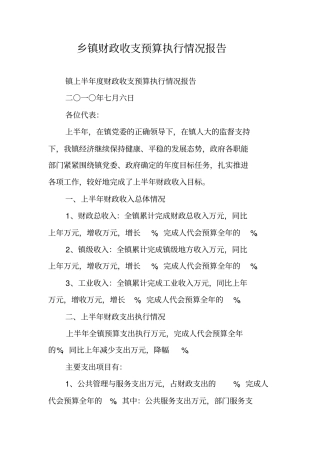 乡镇财政收支预算执行情况报告