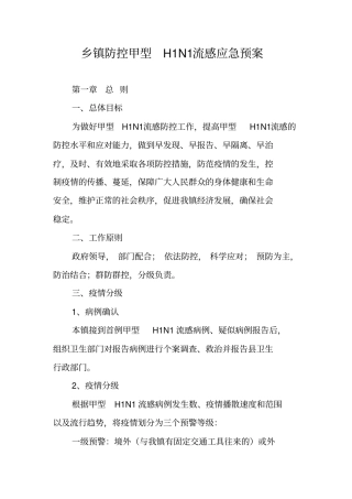 乡镇防控甲型H1N1流感应急预案
