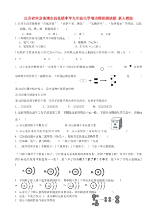 九年级化学用语模拟测试卷 新人教版试卷