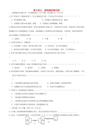 九年级化学上册 第6单元 碳和碳的氧化物单元综合测试 新人教版试卷