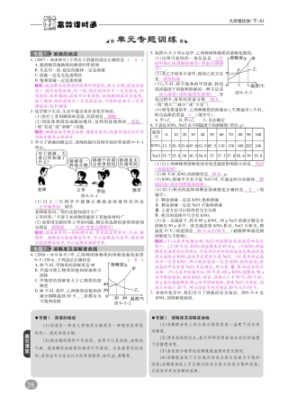 九年级化学下册 第九单元 溶液专题训练(pdf)(新版)新人教版试卷