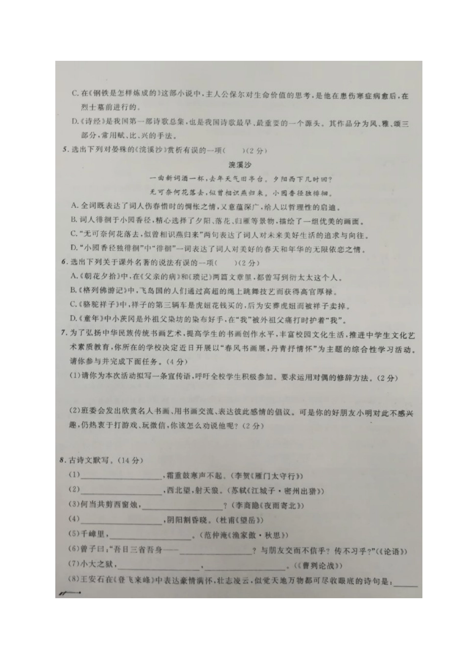 中考语文模拟卷(十一)试卷_第2页