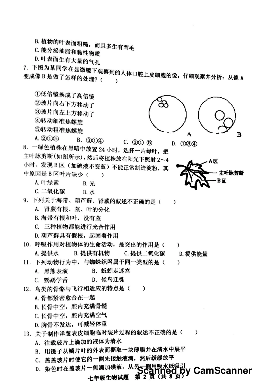 山东省寿光市七年级生物上学期期末自主检测试卷(pdf) 济南版 03_第2页