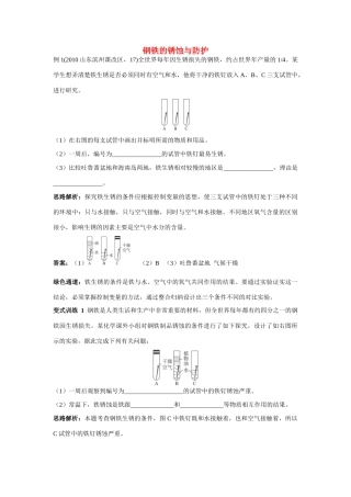 九年级化学 钢铁的锈蚀与防护例题与探究 鲁教版试卷