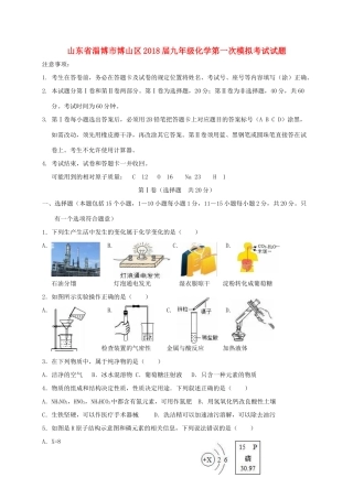九年级化学第一次模拟考试试卷