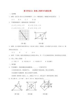 九年级数学下学期复习作业21 直角三角形与勾股定理试卷