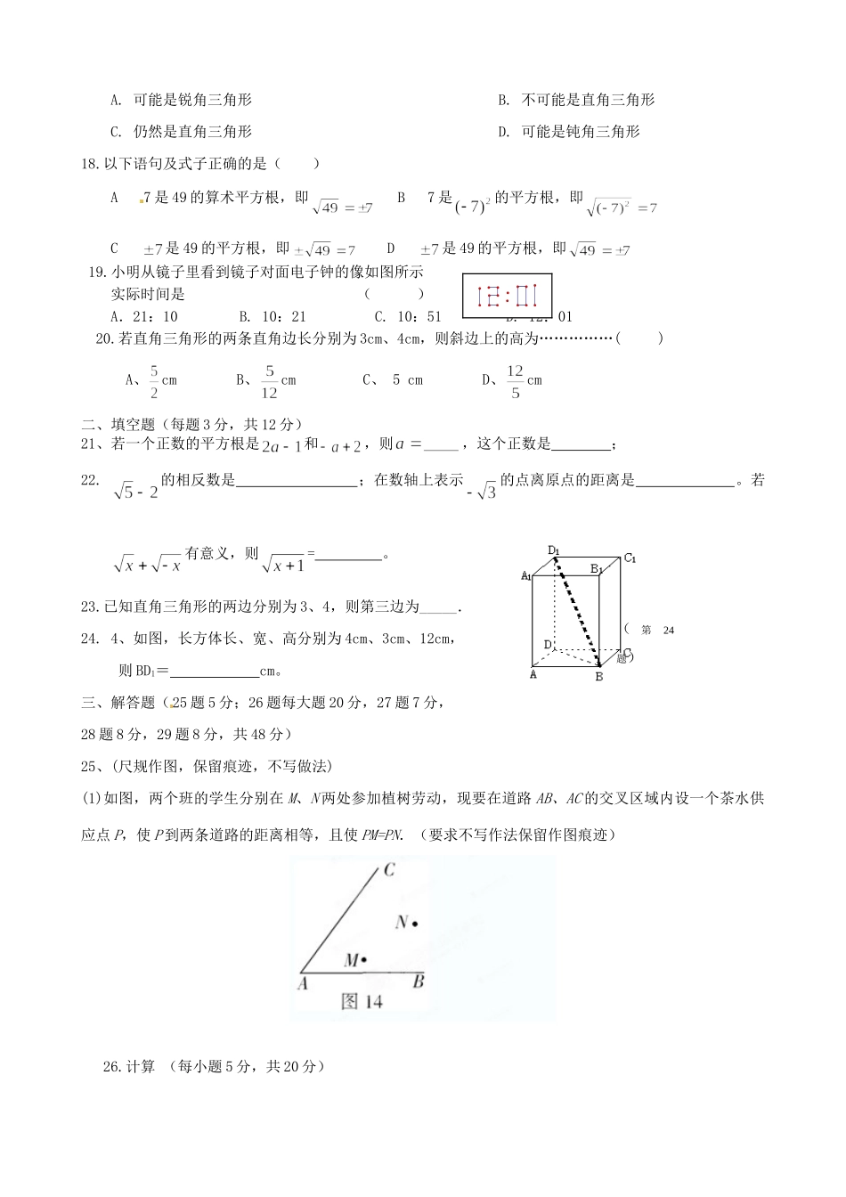 山东省泰安市八年级数学上学期期中考试试卷试卷_第3页