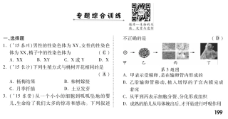 中考生物 第二部分 重点专题突破 专题七 生物的生殖、发育与遗传复习专题综合训练(pdf，含解析) 新人教版试卷