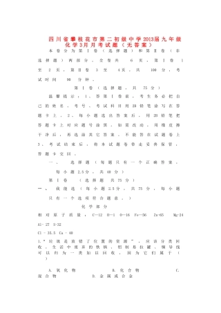 四川省攀枝花市届九年级化学3月月考试卷