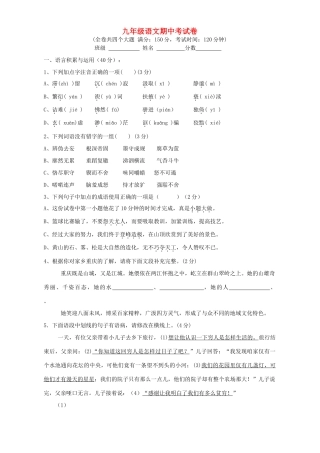 九年九年级语文期中考试卷 人教版试卷