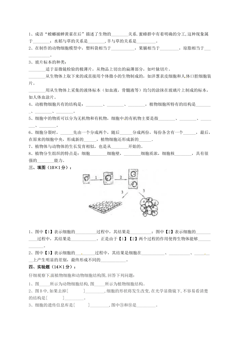 吉林省通化市外国语学校七年级生物上学期期中试卷 新人教版试卷_第3页