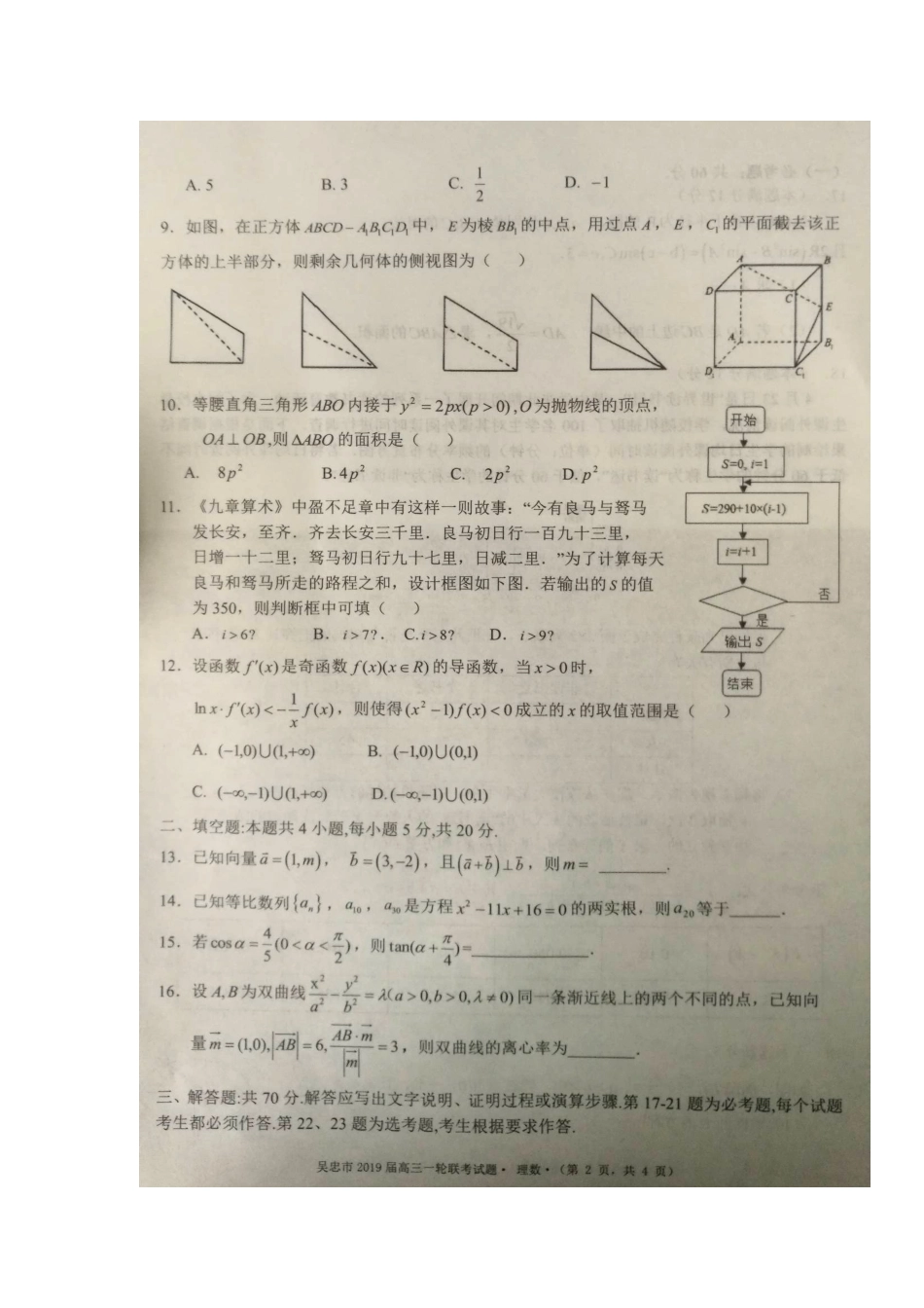宁夏吴忠市高三数学上学期期末考试(一轮联考)试卷 理试卷_第2页