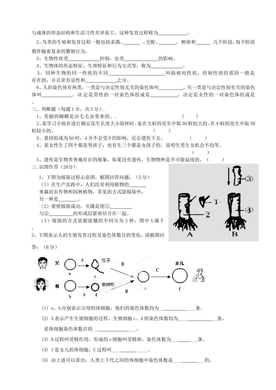 四川省阆中市八年级生物下学期期中测试试卷 新人教版试卷_第3页