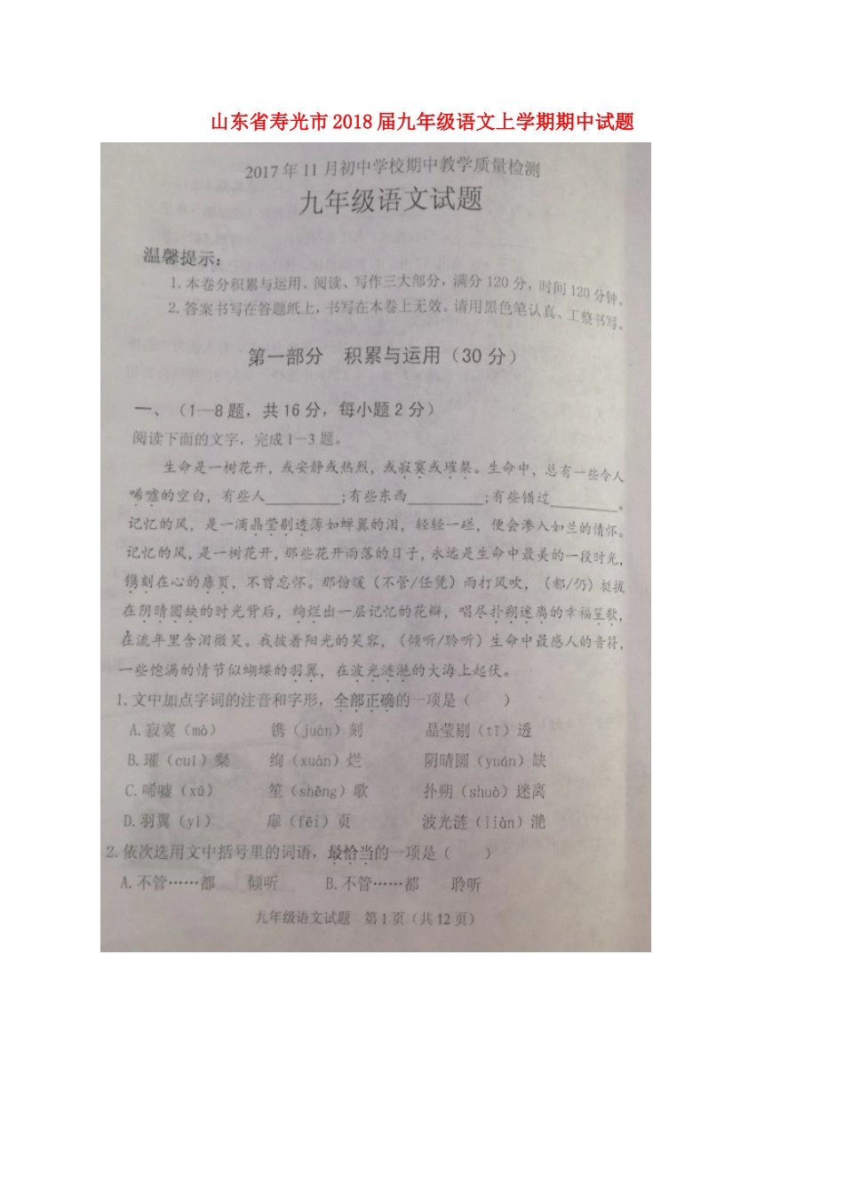 山东省寿光市九年级语文上学期期中试卷新人教版试卷_第1页