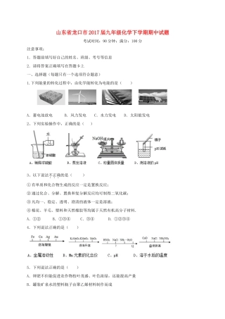 九年级化学下学期期中试卷(五四制)试卷