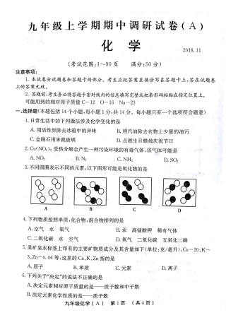 九年级化学上学期期中试卷(pdf)试卷(00001)