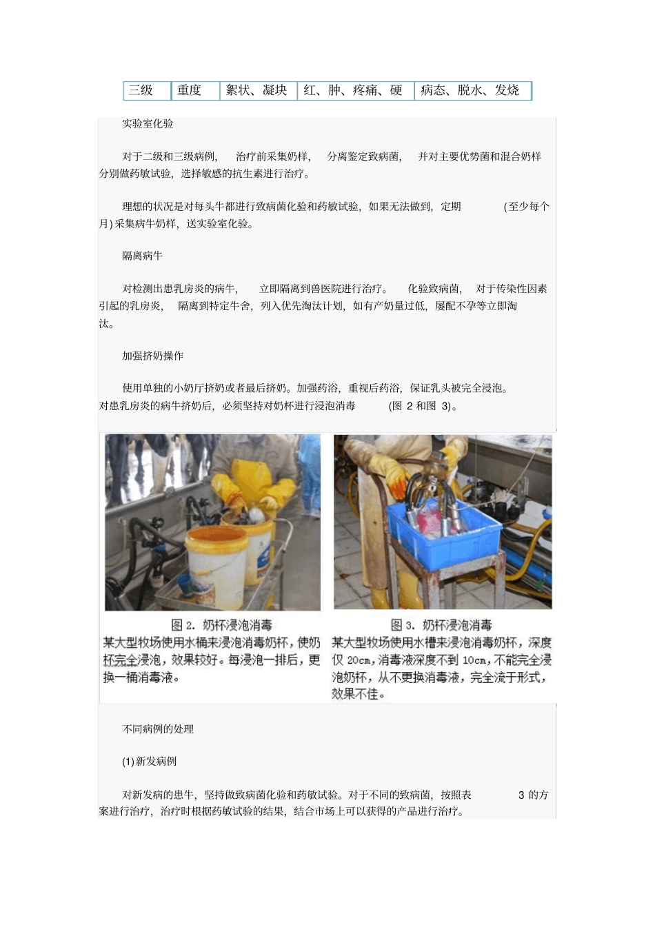 乳房炎的治疗流程及方案_第3页