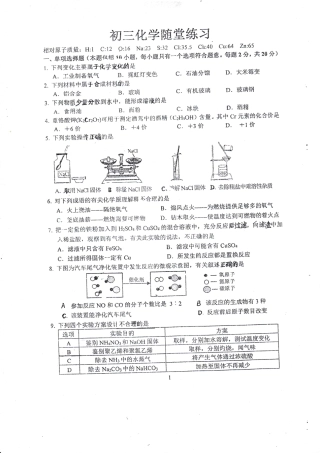 九年级化学下学期阶段测试试卷四(pdf)试卷