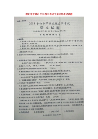 中考语文适应性考试试卷试卷(00002)