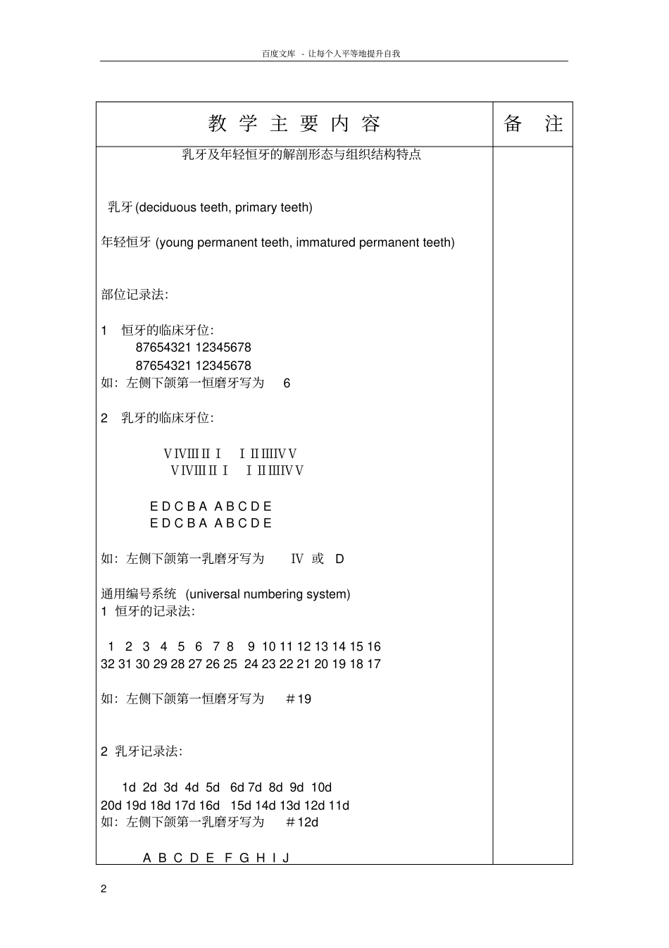 乳牙及年轻恒牙的解剖形态与组织结构特点_第2页