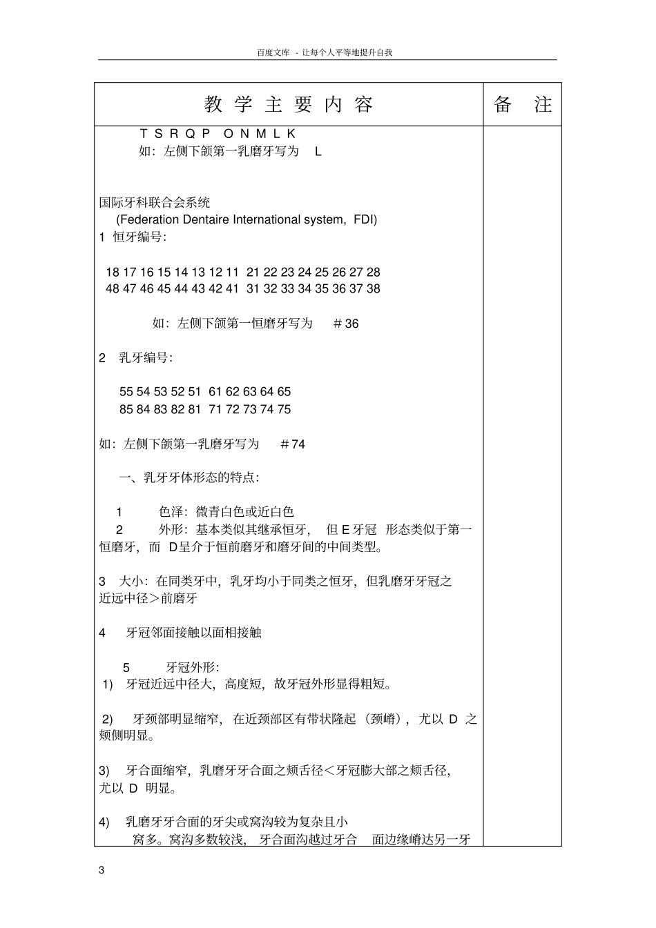 乳牙及年轻恒牙的解剖形态与组织结构特点_第3页