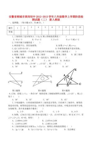 安徽省桐城市八年级数学上学期阶段检测试卷(二) 新人教版试卷