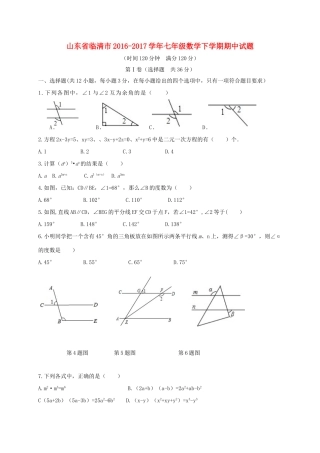山东省临清市七年级数学下学期期中试卷
