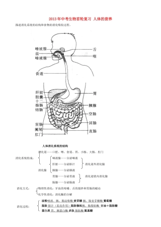 中考生物首轮复习 人体的营养试卷