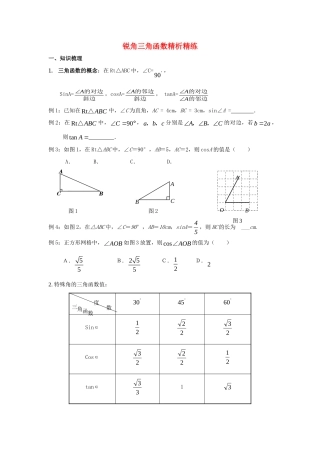 初中数学锐角三角函数精析精练全国通用 试题